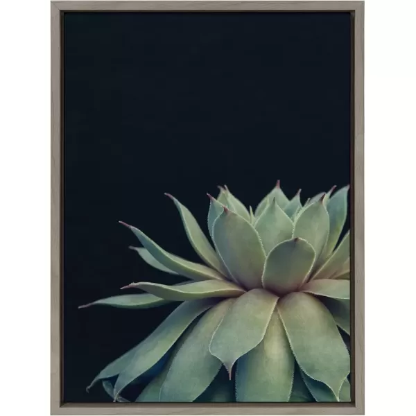 imageKate and Laurel Sylvie Succulent Plant Framed Canvas Wall Art Botanical Green with Black Background 23x33 GoldGray