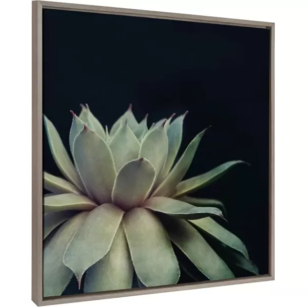 imageKate and Laurel Sylvie Succulent Plant Framed Canvas Wall Art Botanical Green with Black Background 23x33 GoldGray