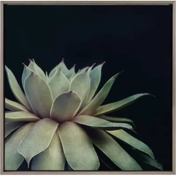 imageKate and Laurel Sylvie Succulent Plant Framed Canvas Wall Art Botanical Green with Black Background 23x33 GoldGray