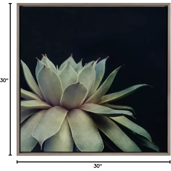 imageKate and Laurel Sylvie Succulent Plant Framed Canvas Wall Art Botanical Green with Black Background 23x33 GoldGray