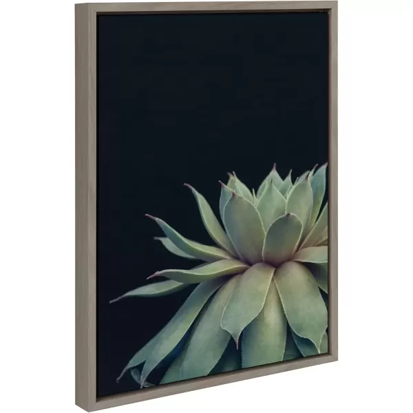 imageKate and Laurel Sylvie Succulent Plant Framed Canvas Wall Art Botanical Green with Black Background 23x33 GoldGray