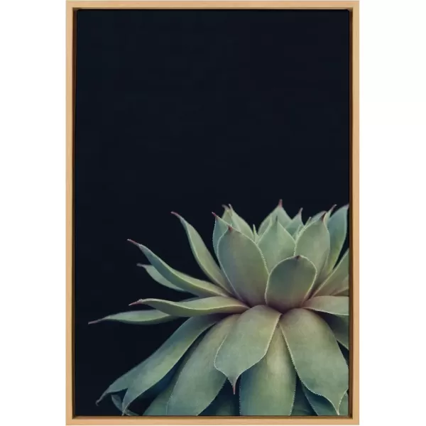 imageKate and Laurel Sylvie Succulent Plant Framed Canvas Wall Art Botanical Green with Black Background 23x33 GoldNatural