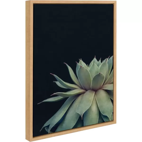 imageKate and Laurel Sylvie Succulent Plant Framed Canvas Wall Art Botanical Green with Black Background 23x33 GoldNatural