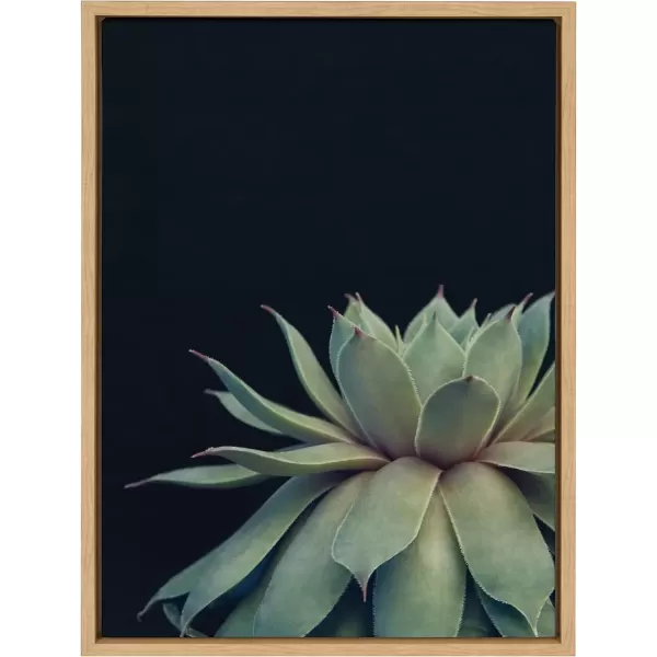 imageKate and Laurel Sylvie Succulent Plant Framed Canvas Wall Art Botanical Green with Black Background 23x33 GoldNatural