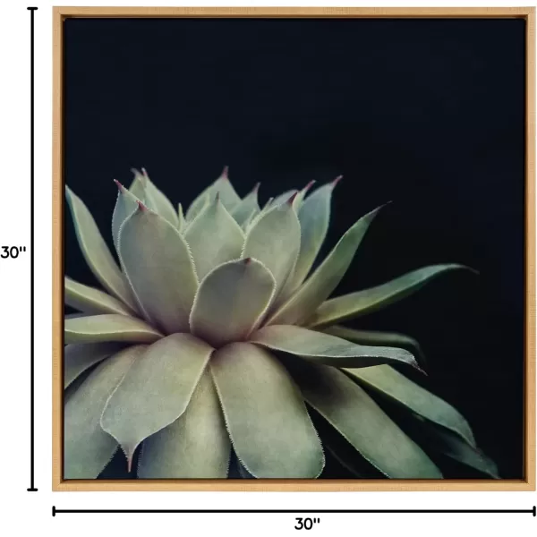 imageKate and Laurel Sylvie Succulent Plant Framed Canvas Wall Art Botanical Green with Black Background 23x33 GoldNatural