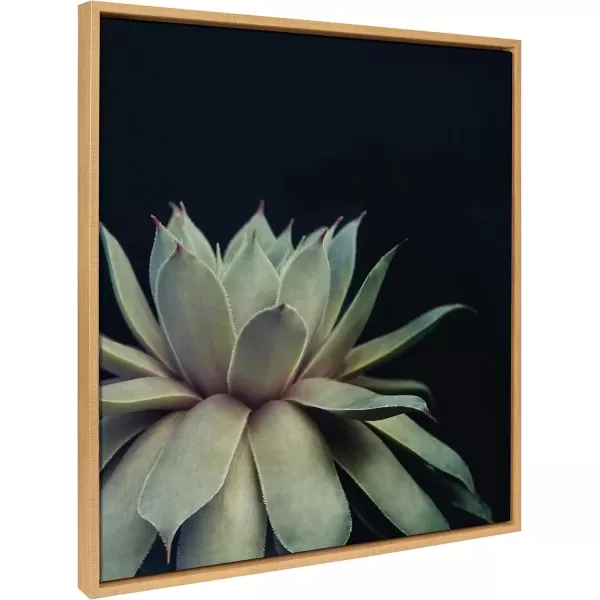 imageKate and Laurel Sylvie Succulent Plant Framed Canvas Wall Art Botanical Green with Black Background 23x33 GoldNatural