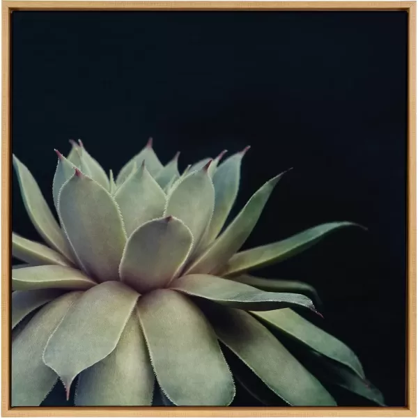 imageKate and Laurel Sylvie Succulent Plant Framed Canvas Wall Art Botanical Green with Black Background 23x33 GoldNatural