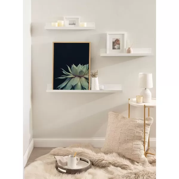 imageKate and Laurel Sylvie Succulent Plant Framed Canvas Wall Art Botanical Green with Black Background 23x33 GoldNatural