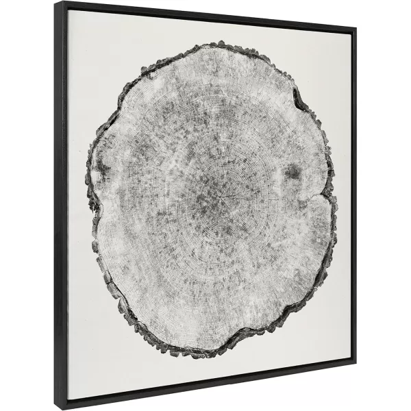 imageKate and Laurel Sylvie Tree Rings Framed Linen Textured Canvas Wall Art by Emiko and Mark Franzen of F2Images 30x30 Natural Decorative Nature Art for WallBlack