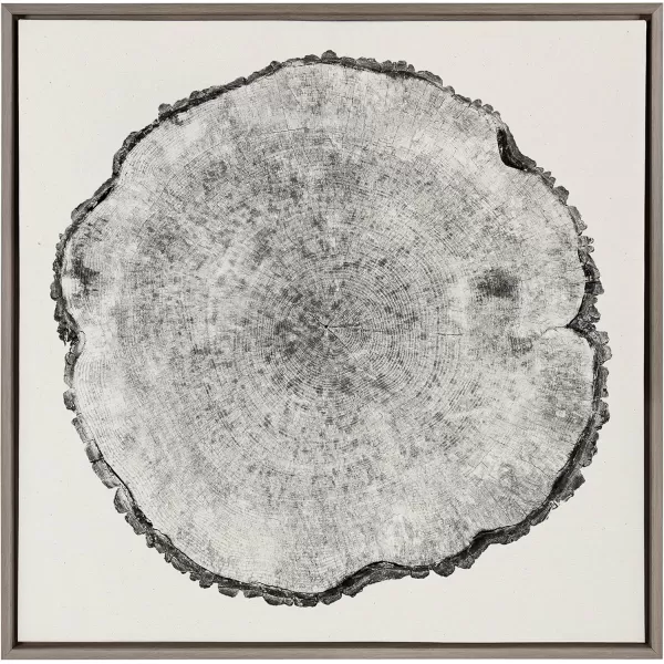 imageKate and Laurel Sylvie Tree Rings Framed Linen Textured Canvas Wall Art by Emiko and Mark Franzen of F2Images 30x30 Natural Decorative Nature Art for WallGray