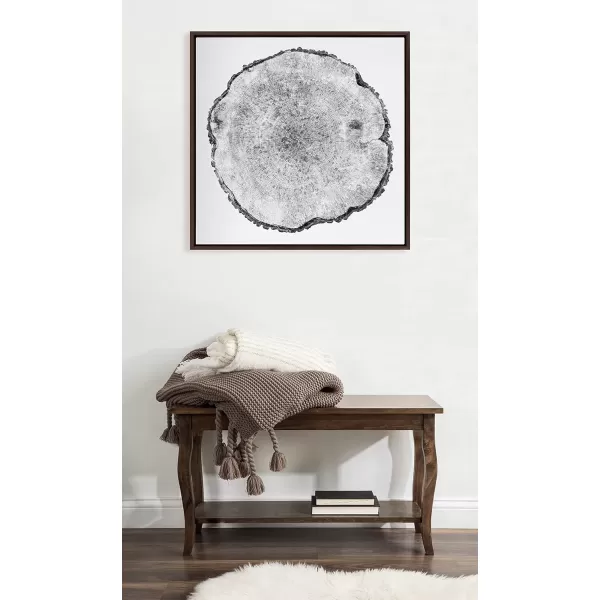 imageKate and Laurel Sylvie Tree Rings Framed Linen Textured Canvas Wall Art by Emiko and Mark Franzen of F2Images 30x30 Natural Decorative Nature Art for WallBrown