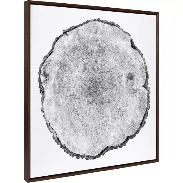 imageKate and Laurel Sylvie Tree Rings Framed Linen Textured Canvas Wall Art by Emiko and Mark Franzen of F2Images 30x30 Natural Decorative Nature Art for WallBrown