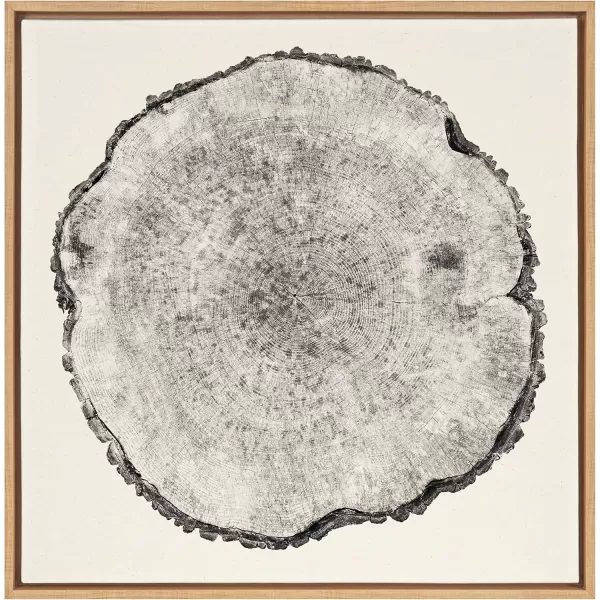 imageKate and Laurel Sylvie Tree Rings Framed Linen Textured Canvas Wall Art by Emiko and Mark Franzen of F2Images 30x30 Natural Decorative Nature Art for WallNatural