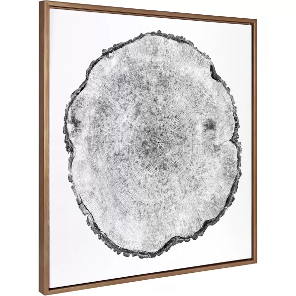 imageKate and Laurel Sylvie Tree Rings Framed Linen Textured Canvas Wall Art by Emiko and Mark Franzen of F2Images 30x30 Natural Decorative Nature Art for WallGold