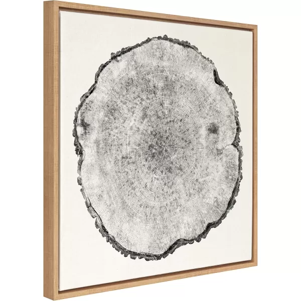 imageKate and Laurel Sylvie Tree Rings Framed Linen Textured Canvas Wall Art by Emiko and Mark Franzen of F2Images 30x30 Natural Decorative Nature Art for WallNatural