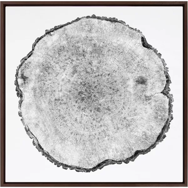 imageKate and Laurel Sylvie Tree Rings Framed Linen Textured Canvas Wall Art by Emiko and Mark Franzen of F2Images 30x30 Natural Decorative Nature Art for WallBrown