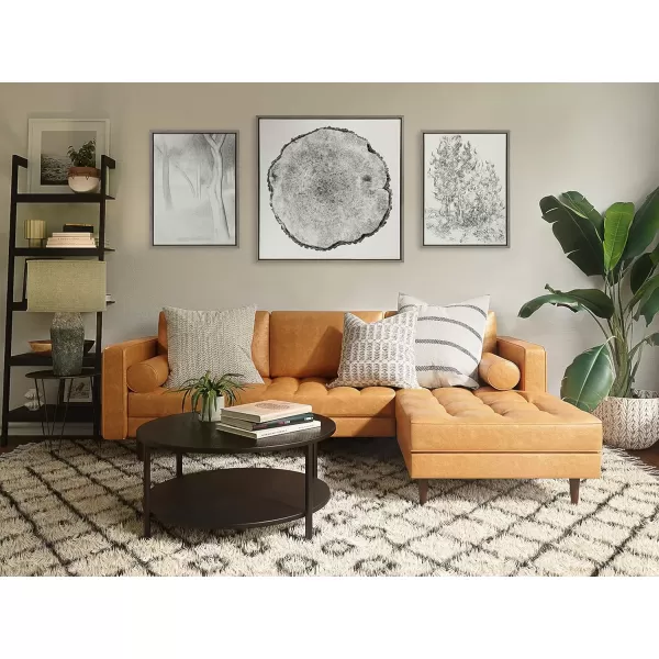 imageKate and Laurel Sylvie Tree Rings Framed Linen Textured Canvas Wall Art by Emiko and Mark Franzen of F2Images 30x30 Natural Decorative Nature Art for WallGray