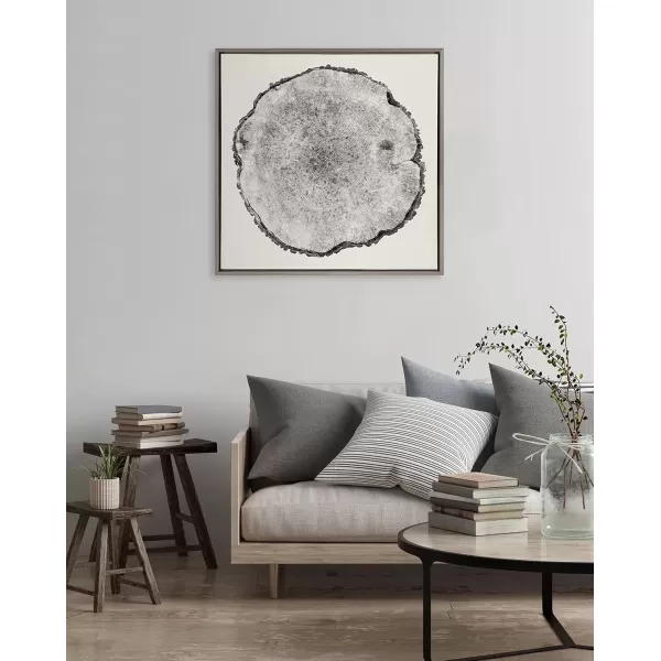 imageKate and Laurel Sylvie Tree Rings Framed Linen Textured Canvas Wall Art by Emiko and Mark Franzen of F2Images 30x30 Natural Decorative Nature Art for WallGray