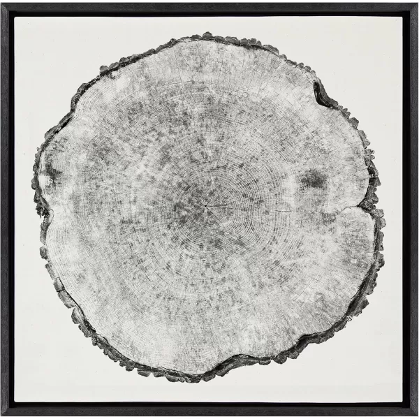 imageKate and Laurel Sylvie Tree Rings Framed Linen Textured Canvas Wall Art by Emiko and Mark Franzen of F2Images 30x30 Natural Decorative Nature Art for WallBlack