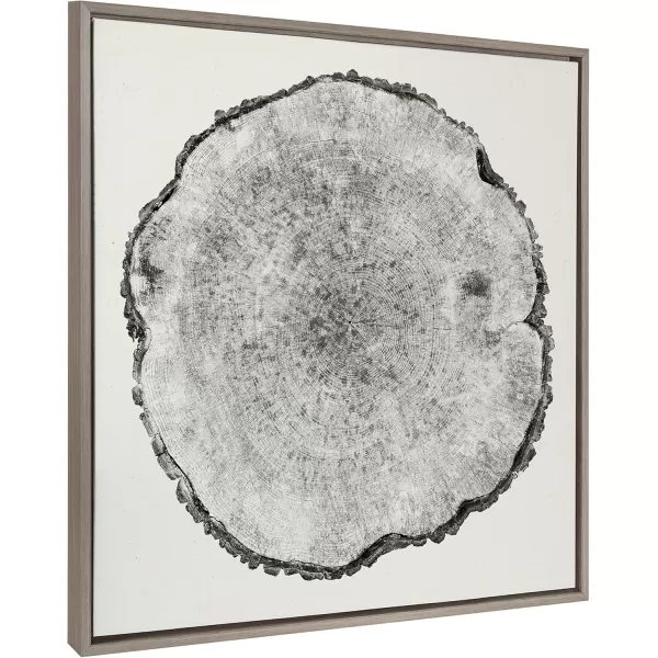 imageKate and Laurel Sylvie Tree Rings Framed Linen Textured Canvas Wall Art by Emiko and Mark Franzen of F2Images 30x30 Natural Decorative Nature Art for WallGray