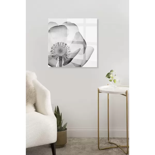 imageKate and Laurel x The Creative Bunch Studio Collaboration Poppy XRay Floral Modern Acrylic Art 23x23 Black and White Minimal Flower Art for Wall