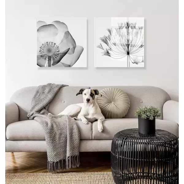 imageKate and Laurel x The Creative Bunch Studio Collaboration Poppy XRay Floral Modern Acrylic Art 23x23 Black and White Minimal Flower Art for Wall