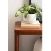 imageKate and Laurel Talcott Modern Rectangle Wood Console Table 36 x 14 x 33 Natural Wood Transitional Decorative TwoTier Entryway Table for Use as a Behind Couch Table or a Bedroom AccentWalnut Brown