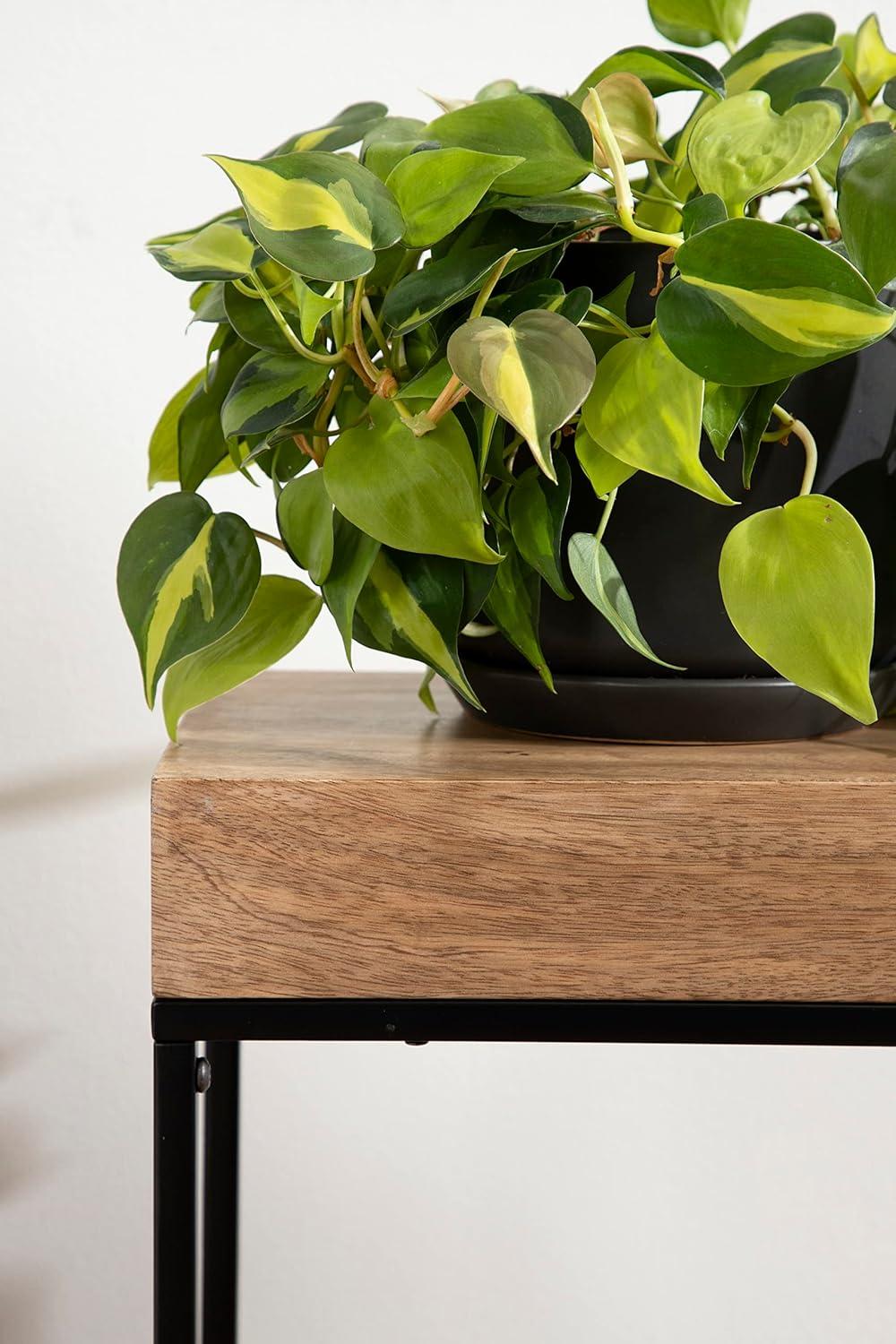 imageKate and Laurel Karlsen Modern Wood and Metal Burlwood Narrow Side Table 16 x 24 x 8 Burlwood and Gold Slim End Table for Use as Skinny Bedroom Nightstand or Entryway Table OptionNaturalBlack