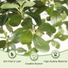 imageBlack Olive Tree 7ft  Faux Black Olive Tree with Natural Trunk and Realistic Leaves  Olive Trees Artificial Indoor for Modern Home Office House Living Room Decor