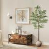 imageBlack Olive Tree 7ft  Faux Black Olive Tree with Natural Trunk and Realistic Leaves  Olive Trees Artificial Indoor for Modern Home Office House Living Room Decor