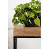 imageKate and Laurel Karlsen Modern Wood and Metal Burlwood Narrow Side Table 16 x 24 x 8 Burlwood and Gold Slim End Table for Use as Skinny Bedroom Nightstand or Entryway Table OptionNaturalBlack