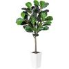 imageFiddle Leaf Fig Tree Artificial 5FT  Faux Fiddle Leaf Fig Tree with White Tall Planter  Fake Fig Tree with Fig Leaves  Artificial Tree for Indoor Outdoor House Home Office DecorWhite