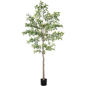 imageBlack Olive Tree 7ft  Faux Black Olive Tree with Natural Trunk and Realistic Leaves  Olive Trees Artificial Indoor for Modern Home Office House Living Room Decor