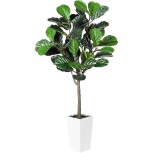 imageFiddle Leaf Fig Tree Artificial 5FT  Faux Fiddle Leaf Fig Tree with White Tall Planter  Fake Fig Tree with Fig Leaves  Artificial Tree for Indoor Outdoor House Home Office DecorWhite