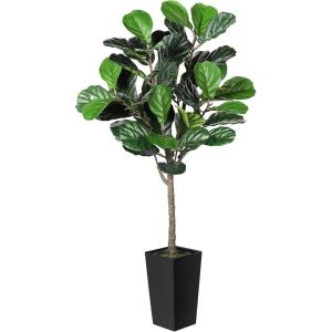 imageFiddle Leaf Fig Tree Artificial 5FT  Faux Fiddle Leaf Fig Tree with White Tall Planter  Fake Fig Tree with Fig Leaves  Artificial Tree for Indoor Outdoor House Home Office DecorBlack
