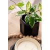 imageKate and Laurel Anaya Wooden ThreePiece Decor Accent Set Walnut Brown Set of 3 Modern Tabletop Decor Set Including Planter Pot Accent Tray and Beaded RopeNaturalBlack