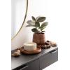 imageKate and Laurel Anaya Wooden ThreePiece Decor Accent Set Walnut Brown Set of 3 Modern Tabletop Decor Set Including Planter Pot Accent Tray and Beaded RopeWalnut Brown