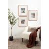 imageKate and Laurel Inglewood Modern Wall Picture Frame Set of 3 16x20 matted to 8x10 Walnut Brown ThreePiece Frame Set for Gallery Wall Accent Set in Living Room Dcor