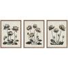 imageKate and Laurel Sylvie Simple Modern Linocut Neutral Lotus Flowers Framed Canvas Wall Art Set by The Creative Bunch Studio 3 Piece Set Beaded Gold BlackandWhite Floral Art for Wall
