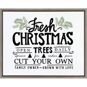 imageKate and Laurel Sylvie Fresh Cut Christmas Framed Canvas Wall Art by Pen ampamp Paint Lindsay Hopkins 18x24 Gray Holiday Inspired Sayings for Wall