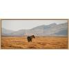 imageKate and Laurel Sylvie Icelandic Horses No 3 Framed Canvas Wall Art by Crystal Lynn Collins 40x18 Natural Stunning Nature Landscape Art for Wall