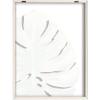 imageKate and Laurel Blake Monstera Framed Printed Glass Wall Art by Jessi Raulet of Ettavee 18x24 Natural Decorative Nature Themed Art Print for WallNatural