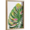 imageKate and Laurel Blake Monstera Framed Printed Glass Wall Art by Jessi Raulet of Ettavee 18x24 Natural Decorative Nature Themed Art Print for WallNatural