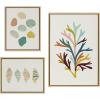 imageKate and Laurel Sylvie Sea Plant Found and Ocean Treasures Linen Canvas Wall Art Set by Alicia Schultz Set of 3 two 16x20 and one 23x33 Natural Finish Frames Decorative Multicolored Nature Art for