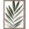imageKate and Laurel Blake Botanical Framed Printed Glass Art by Amy Peterson 16x20 Natural Modern Wall Decor Inspired by NatureGold