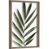 imageKate and Laurel Blake Botanical Framed Printed Glass Art by Amy Peterson 16x20 Natural Modern Wall Decor Inspired by NatureGold