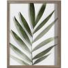 imageKate and Laurel Blake Botanical Framed Printed Glass Art by Amy Peterson 16x20 Natural Modern Wall Decor Inspired by NatureGold