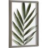 imageKate and Laurel Blake Botanical Framed Printed Glass Art by Amy Peterson 16x20 Natural Modern Wall Decor Inspired by NatureGray