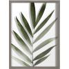 imageKate and Laurel Blake Botanical Framed Printed Glass Art by Amy Peterson 16x20 Natural Modern Wall Decor Inspired by NatureGray