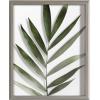 imageKate and Laurel Blake Botanical Framed Printed Glass Art by Amy Peterson 16x20 Natural Modern Wall Decor Inspired by NatureGray